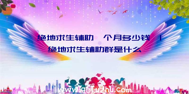 「绝地求生辅助一个月多少钱」|绝地求生辅助群是什么